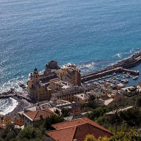 La Casa Di Francy Apartment Camogli