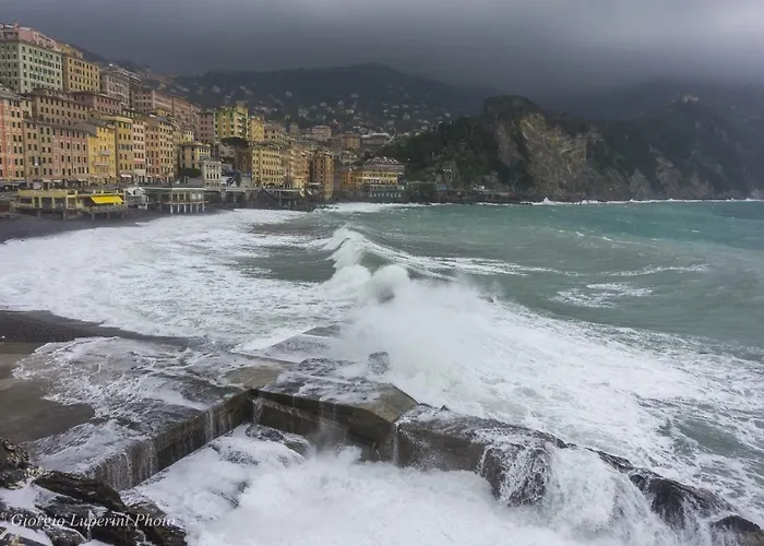 Lägenhet La Casa Di Francy Camogli